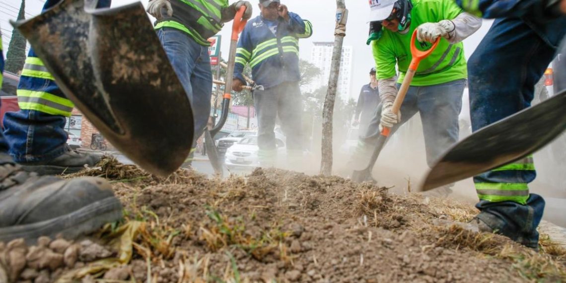 reforestación-urbana-en-calzada-madero-monterrey-mejor-el-entorno-ambiental
