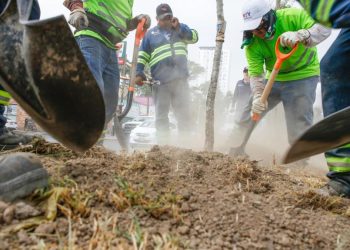 reforestación-urbana-en-calzada-madero-monterrey-mejor-el-entorno-ambiental